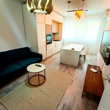 Apartman Preciziei Park Ap With Parking And Self Check In